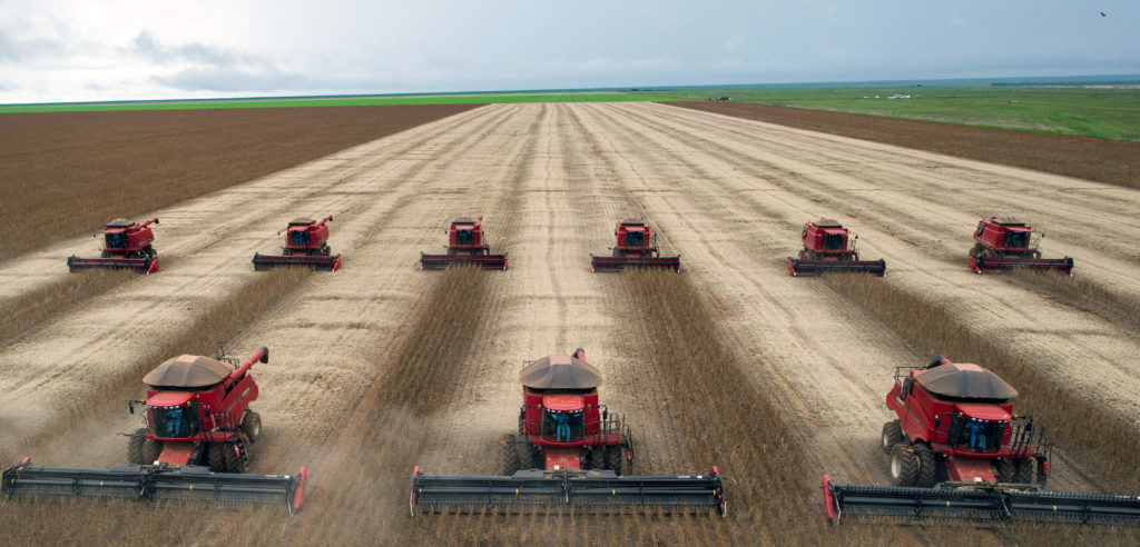 Agricoltura intensiva