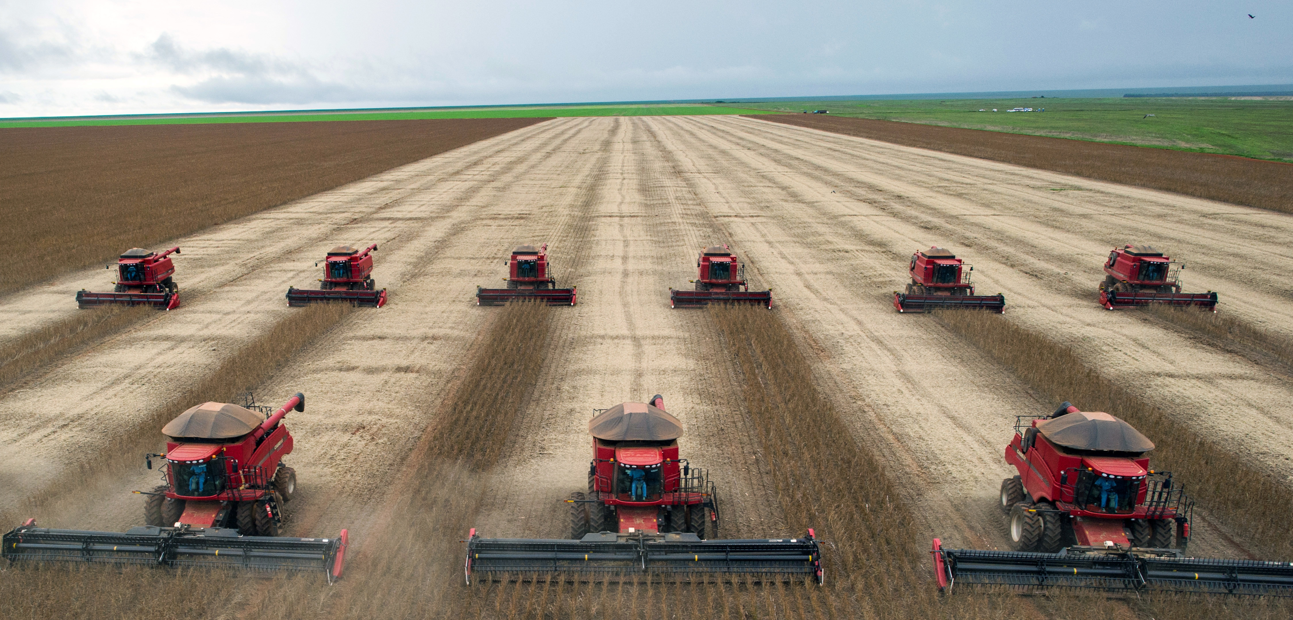 Analisi degli effetti dell’agricoltura intensiva