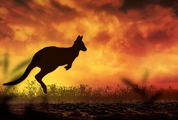 pericolo incendi australia