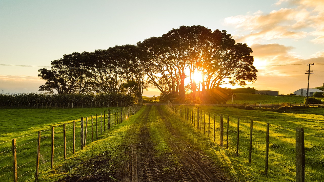 Qual è l’aliquota IVA per la recinzione di un terreno agricolo?