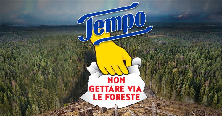 Greenpeace e la distruzione delle foreste causata dai fazzoletti