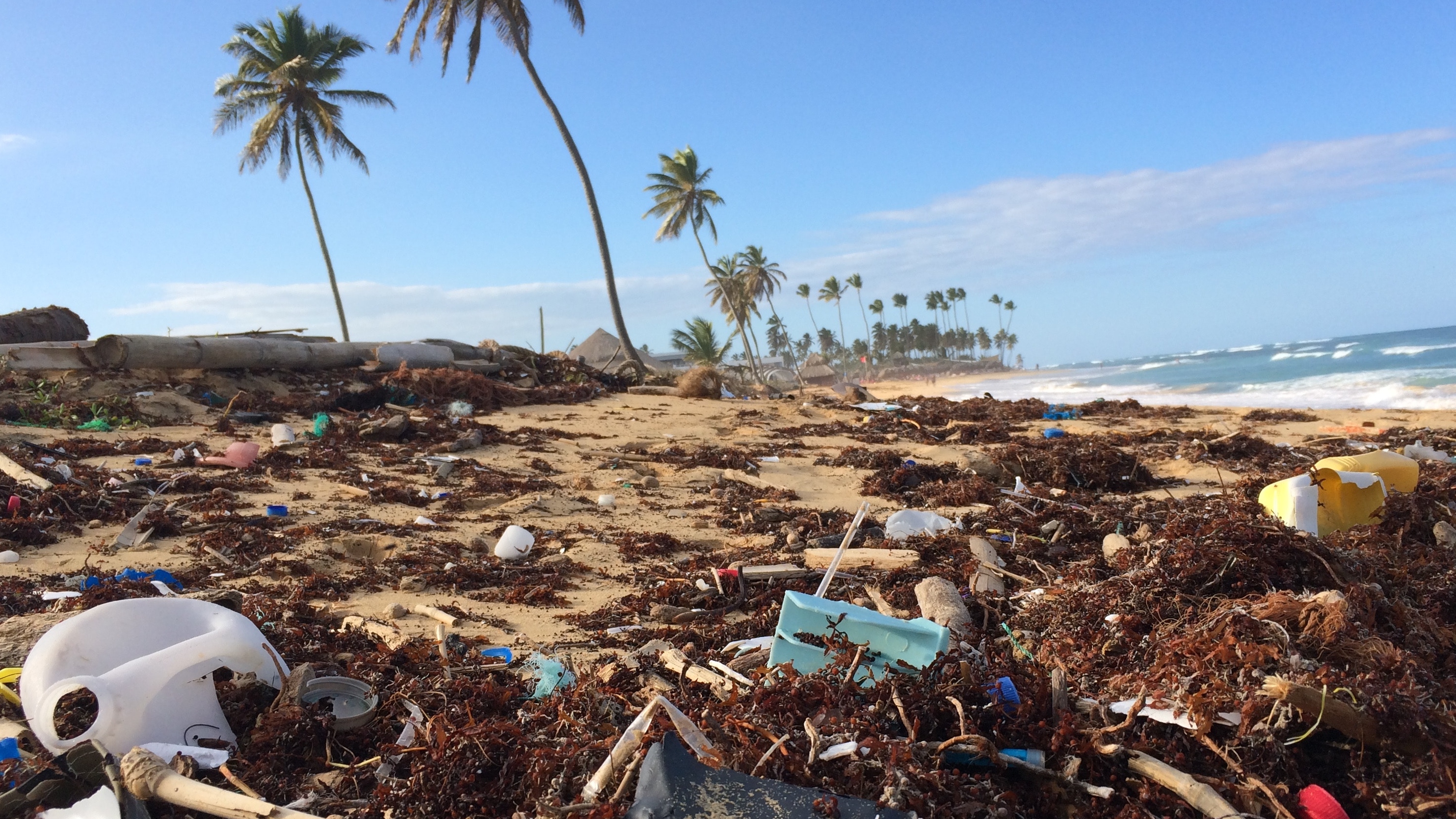 Come ridurre l’uso della plastica nella vita di ogni giorno?