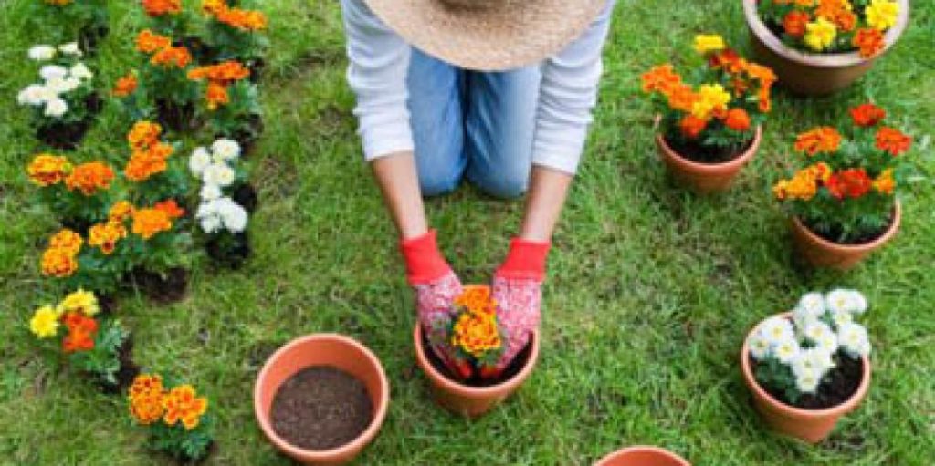 hobby giardinaggio in italia