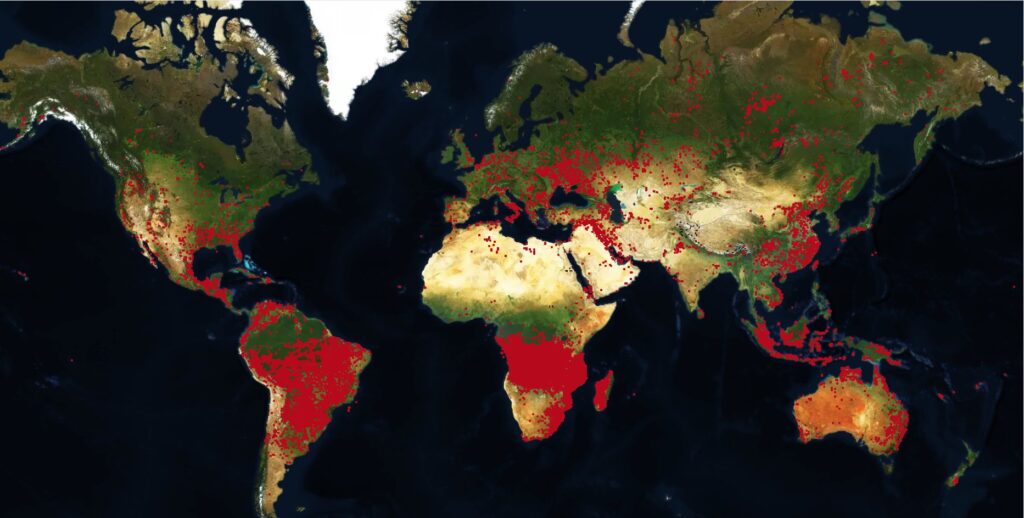 mappa incendi mondo