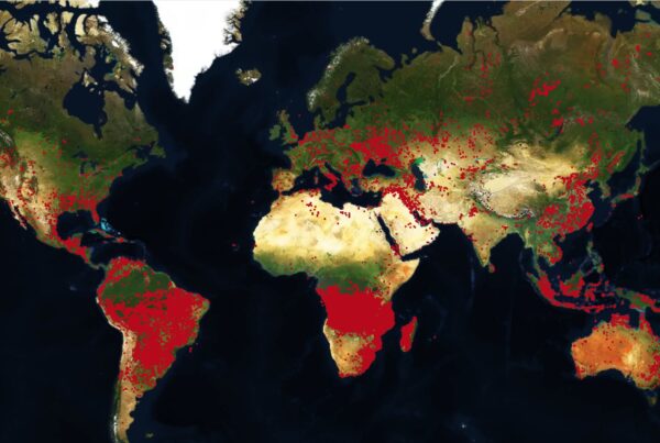 mappa incendi mondo