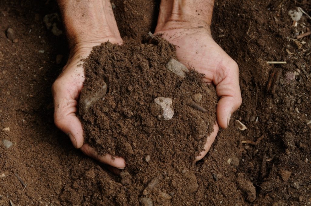 Monitoraggio qualità biologica suolo