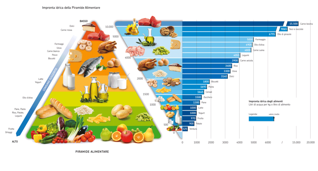 piramide alimentare idrica