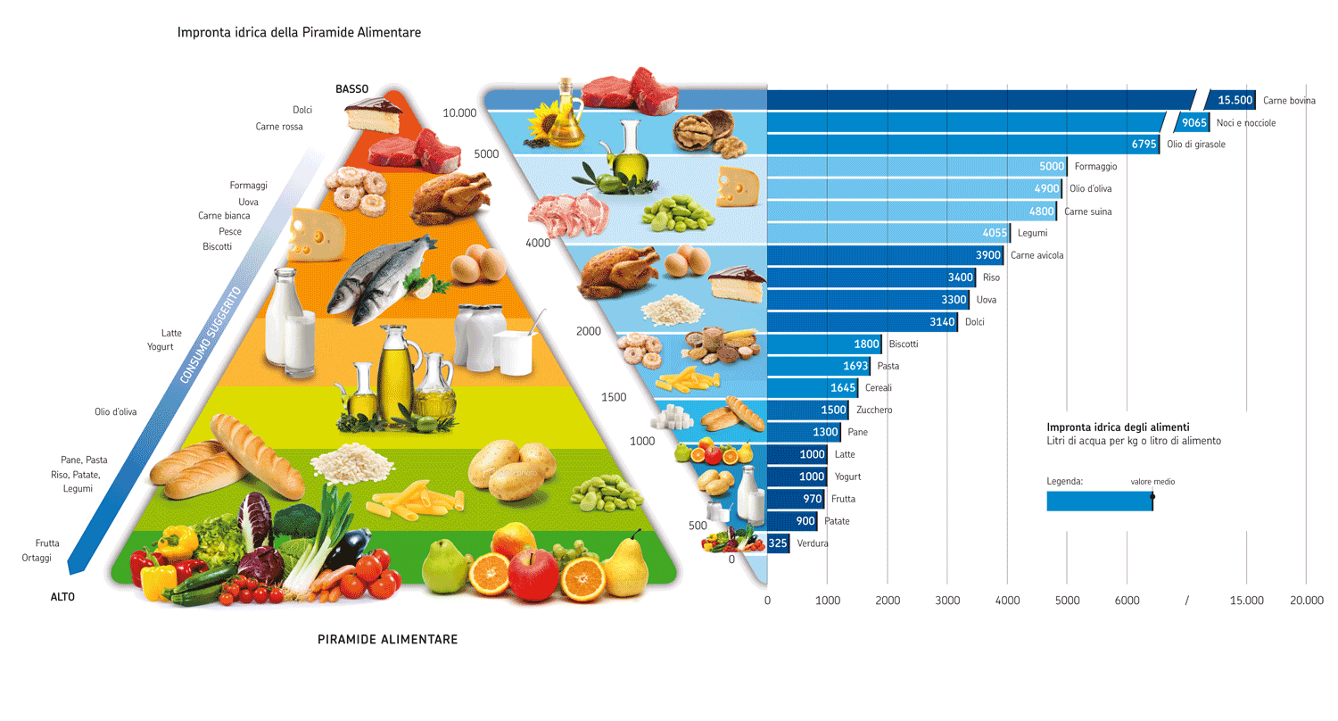 Piramide alimentare idrica: cibi a più alto impatto ambientale